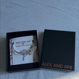 Alex and Ani Silver Charm Bracelet